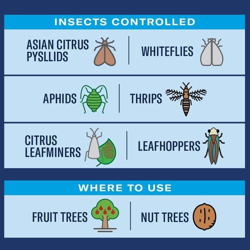 BioAdvanced Fruit & Citrus Tree Insect Control - 32 oz Pest Control Concentrate for 9 Trees