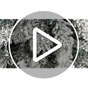Romooa 12 Pcs Crystal Snowflakes Ornaments for Christmas Tree – Includes 12
