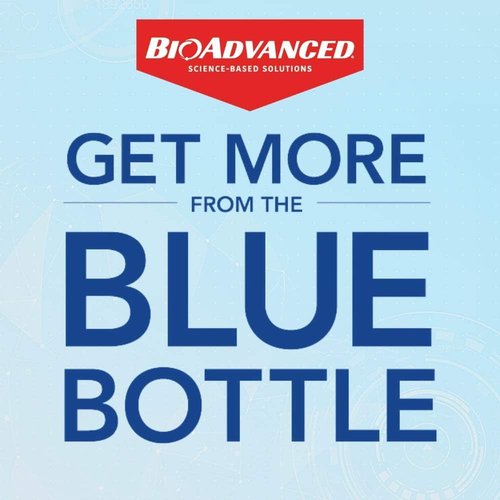 BioAdvanced Tomato & Vegetable Pest Control - Ready-to-Use Insect Killer Spray, 24-Ounce