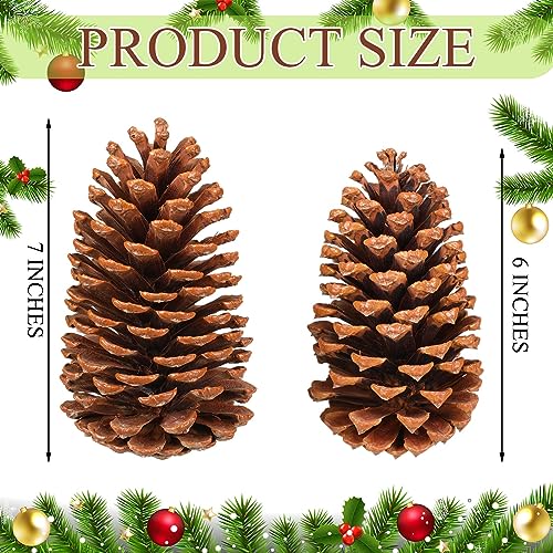 Huwena 6 Pcs Large 6-7 Inch Natural Pine Cones Unscented