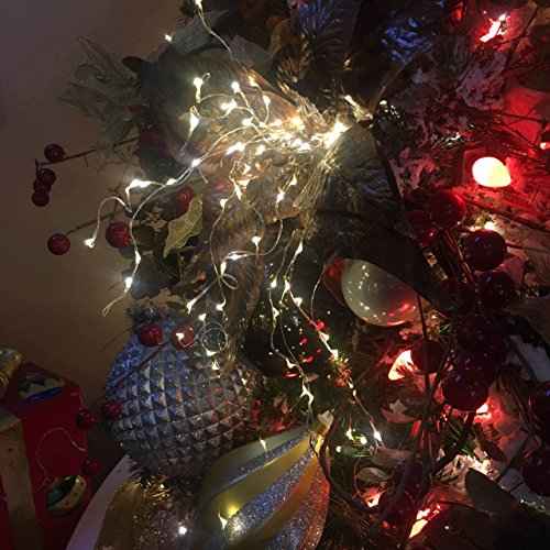 2 Pack Battery Operated Mini Led Lights,Indoor Fairy Lights with Timer 6 Hours on/18 Hours Off for Bedroom Wedding Christmas Party Decorations,30 Count LEDs,10 Feet Silver Wire (Warm White)