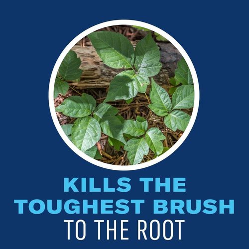 BioAdvanced Brush Killer Spray - Effective Bamboo & Poison Ivy Control - Ready-to-Use 1 Gallon