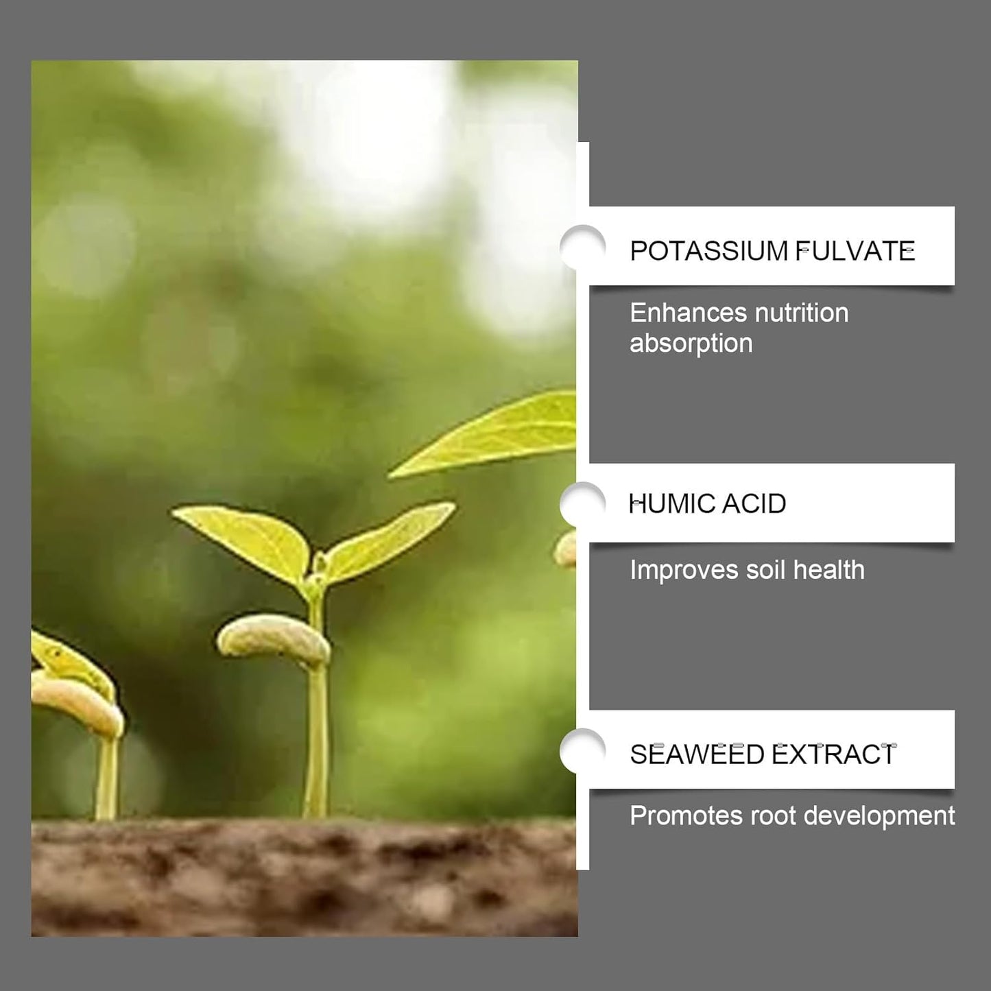 Soil Pro Activator - 200G Soil Activator for Plants | Boost Root Growth & Nutrient Uptake for Gardens, Lawns & Indoor Plants