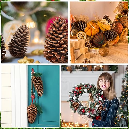 Huwena 6 Pcs Large 6-7 Inch Natural Pine Cones Unscented