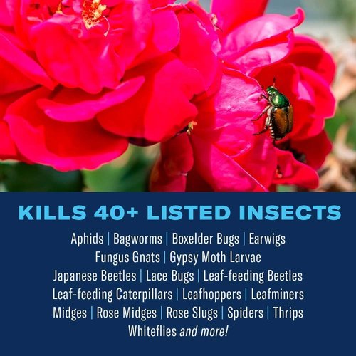 BioAdvanced Dual Action Insect Killer - Continuous Spray for Roses & Flowers | 15.7 oz