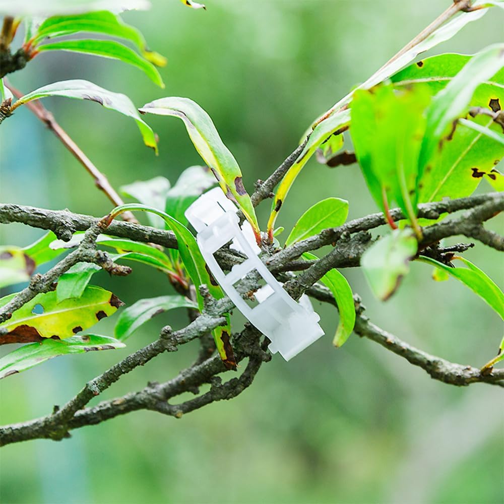 Skiennix Plant Support Clips - 100 Reusable Plastic Clips for Tomatoes & Climbing Plants | Indoor/Outdoor Use