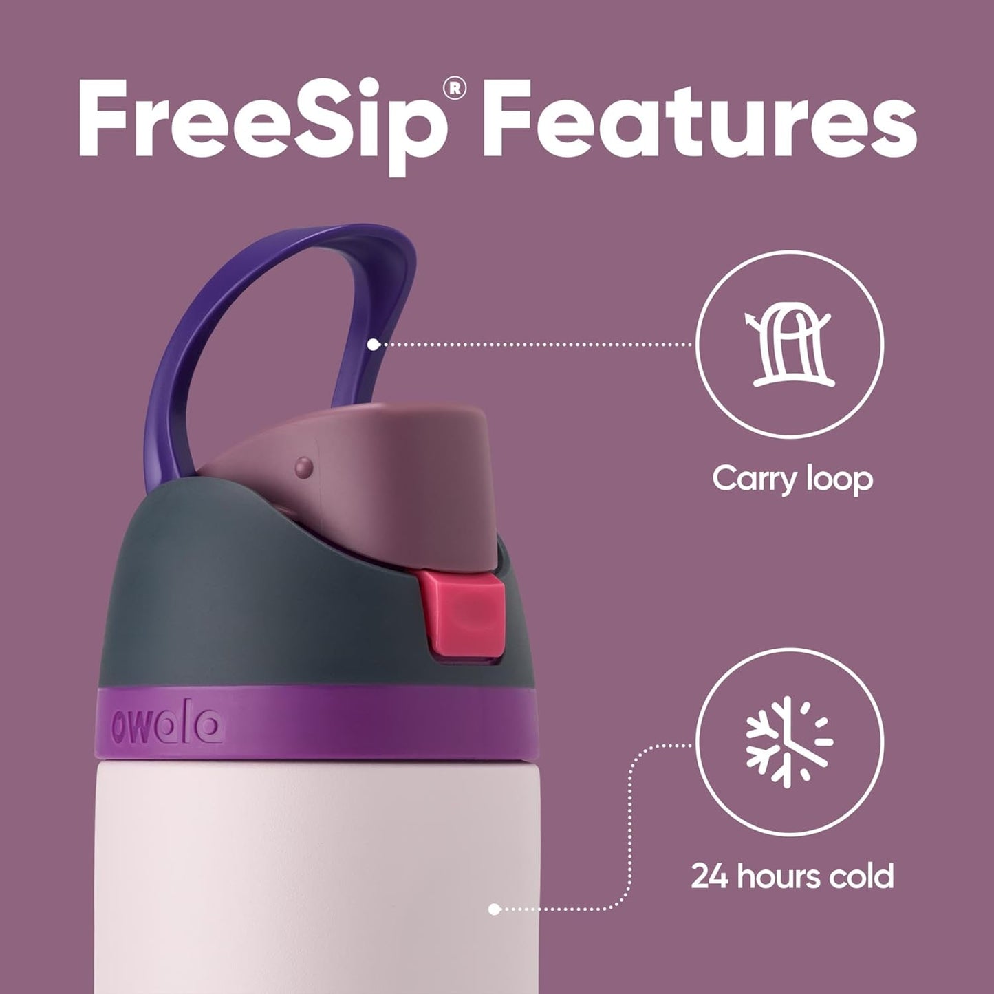Owala FreeSip Insulated Stainless Steel Water Bottle - BPA-Free 24 oz with Straw | Dreamy Field Design