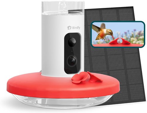 Birdfy Smart Hummingbird Feeder - Solar Powered With Camera, Live View & Auto Record, 14oz, Perfect Gift for Bird Lovers