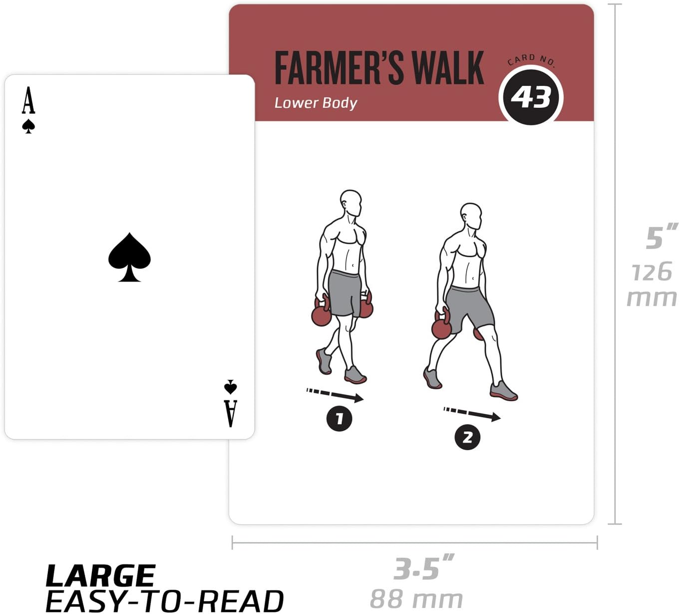NewMe Fitness Kettlebell Workout Cards - Instructional Deck for Home & Gym Training | Beginner-Friendly Guide