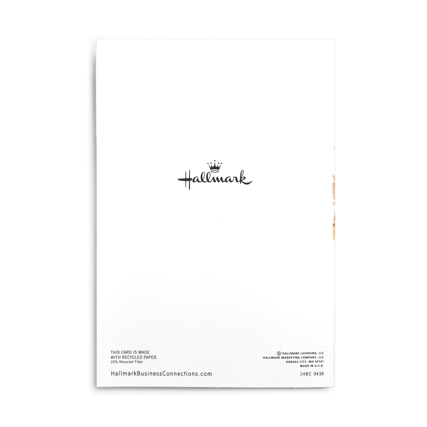Thanksgiving Cards for Employees by Hallmark Business – 25 Pack Bulk Greeting Cards with Envelopes & Gold Seals – “For Everything You Do” Design – Appreciation Cards for Staff & Workplace Teams