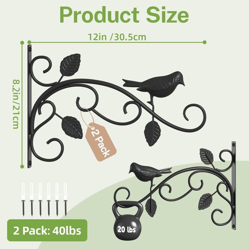 iDavosic.ly Heavy Duty Plant Hangers - 12 Inch Iron Wall Brackets for Outdoor & Indoor Use | Black 2-Pack