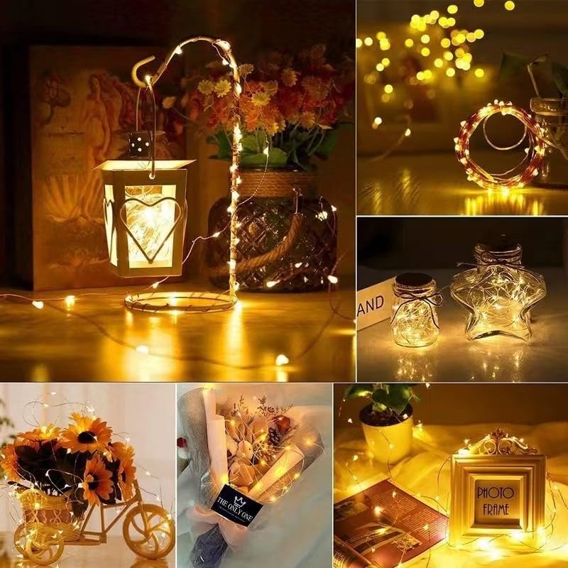 Microwear 33Ft Photo Clip String Lights,USB or Battery Powered,8 Modes 100 LED 10M Hanging String Fairy Lights with Remote,Decoration for Bedroom Christmas Wedding Décor