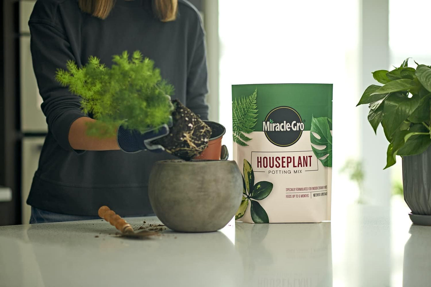 Miracle-Gro Houseplant Potting Mix - Fertilized Soil, Gnats Resistant - 4 Qt. (2-Pack)