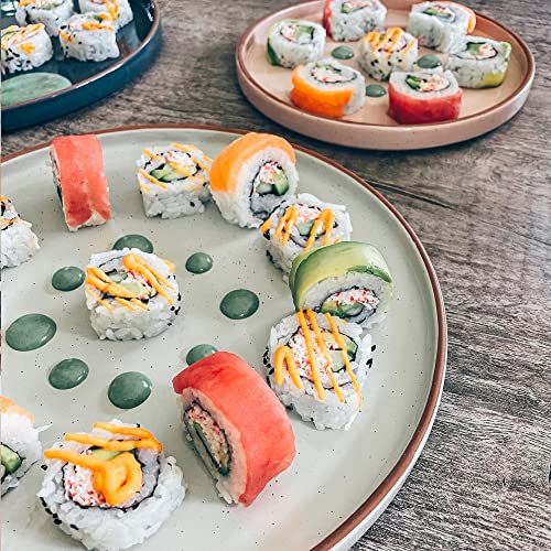 MORA Assorted Neutrals Ceramic Dinner Plates Set of 6 - 10.5 Inch, Microwave & Dishwasher Safe