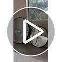 Round Bathroom Mirror 30x30 Inches Silver Wall Mirror with Metal Frame - Variation of Silver / 30L x 30W / 1