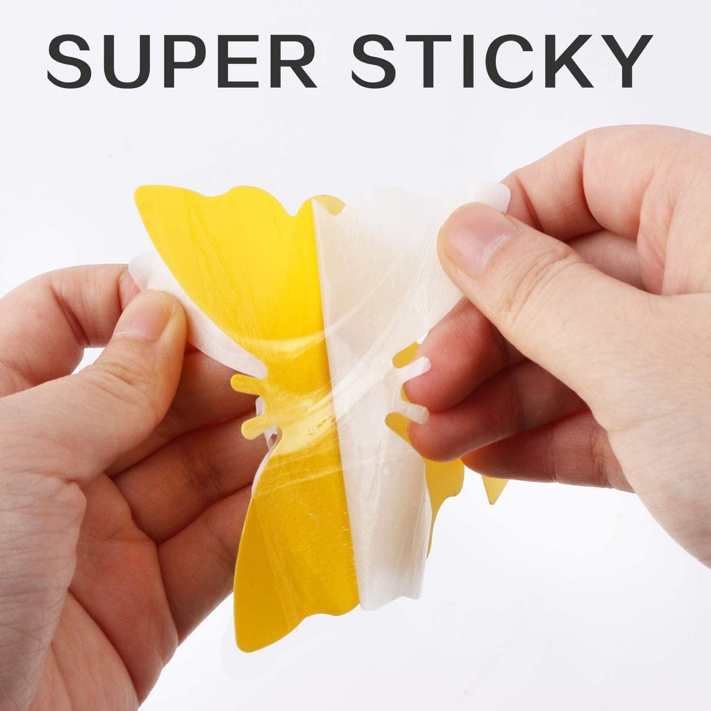 Skiennix Fruit Fly Traps - Odorless Yellow Sticky Bug Traps for Indoor & Outdoor Use | 36 Pack