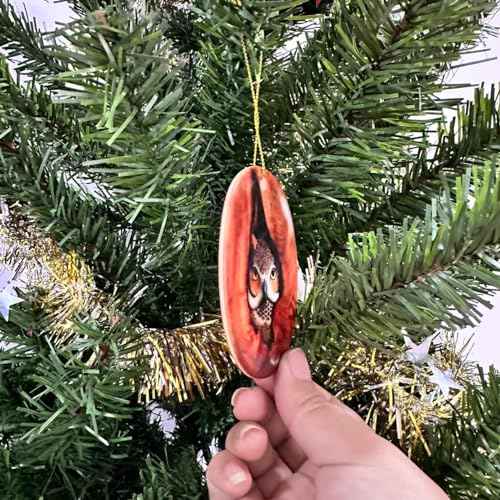 Owl in Nest Christmas Ceramic Oval Ornament, Owl Hanging Ornament, Keepsake Gifts for Grandparents, Parents, Kids, Neighbors, Friends Ornaments for Christmas Tree
