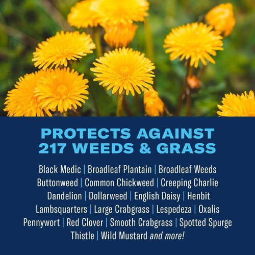 BioAdvanced All-In-One Lawn Weed & Crabgrass Killer - Concentrate, 40 oz for Effective Lawn Care