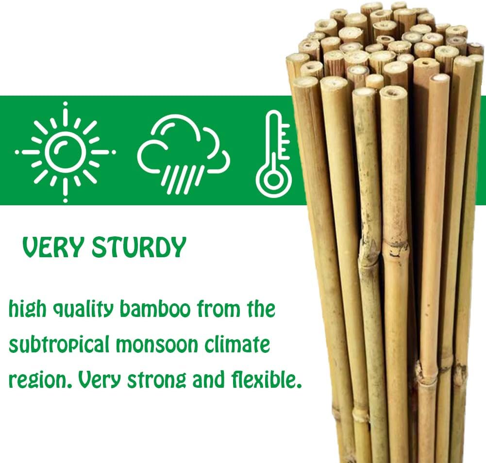 Mininfa Bamboo Garden Stakes - Eco-Friendly 4 Feet Plant Supports for Tomatoes, Trees & Beans | 25 Pack