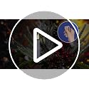 48PCS Christmas Pearl Garland & Velvet Bow Decor Set with Flameless Candles