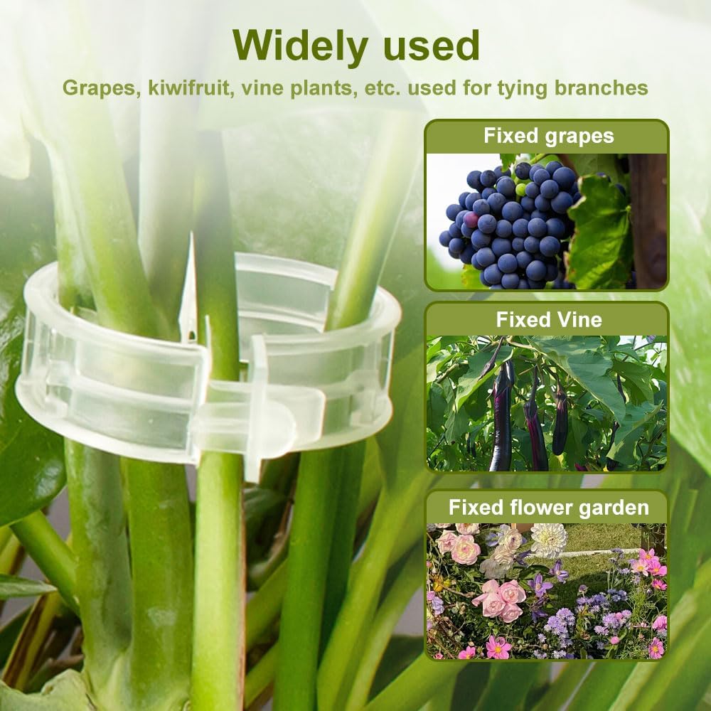 Skiennix Plant Support Clips - Clear Clips for Climbing Plants | 50 PCS for Tomatoes & Vines
