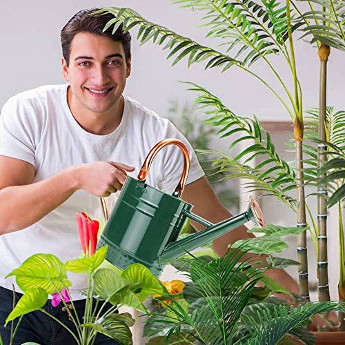 Green 1 Gallon Metal Watering Can with Removable Spout - Galvanized Steel Garden Hand Tool