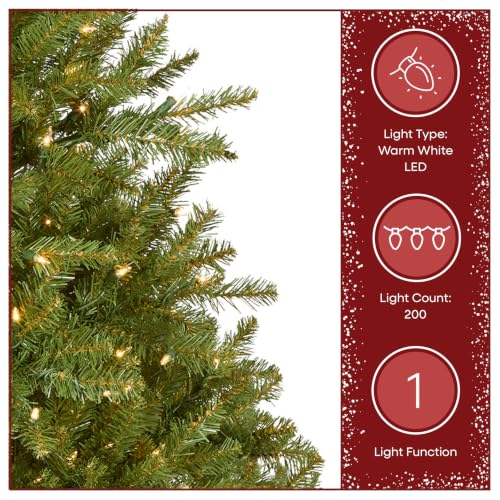 National Tree Company 4ft Pre-Lit Dunhill Fir Mini Christmas