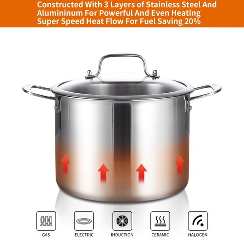 DELARLO Tri-Ply Stainless Steel 8 Quart Stock Pot, Heavy-Duty, All Stove Compatible, Up to 600℉ Soup Pot with Lid, 18/10 Induction Big Stockpot with Lids, Large Stainless Steel Induction for Cooking