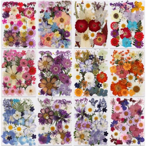 420 Pcs Dried Pressed Flowers for Resin Crafts - Assorted Natural Flowers Set - Variation of THIS listing