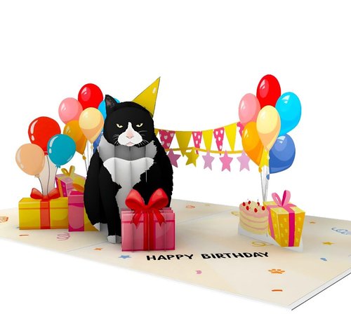 4BO Black Cat Pop Up Birthday Card, Funny Cat Birthday Card, Handmade Greeting Cards for Cat Lovers, 3D Greeting Card, Fun Birthday Gifts Card for Women, Men