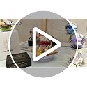 ENERLEAF Colorful Preserved Real Rose in Glass with Scented Candles – Forever Flower Gift