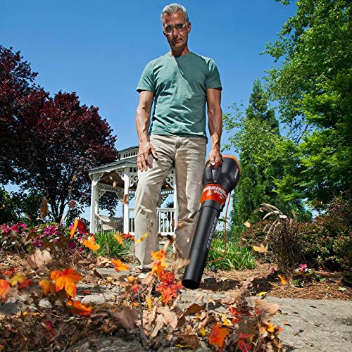 Electric Leaf Blower 12 Amp, 600 CFM & 110 MPH, Lightweight Yard Cleanup Tool