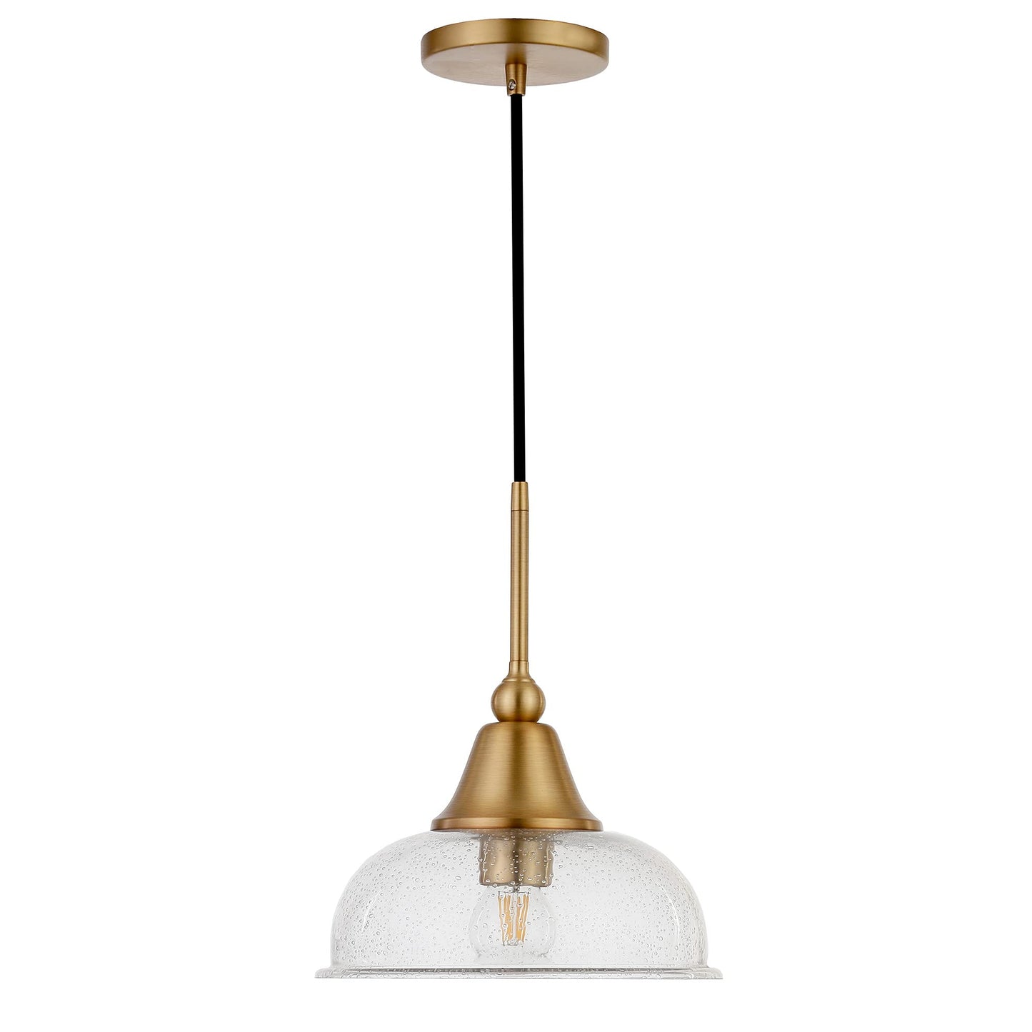 Magnolia 10.75" Wide Pendant with Glass Shade in Brass/Seeded
