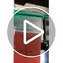 Cambro 4 QT Square Food Storage Container with Green Lid - BPA-Free, Microwave Safe, 2 Pack