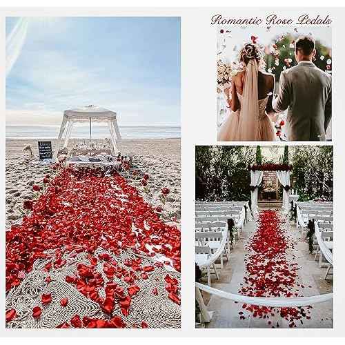 1000Pieces Rose Petals, Artificial Flower Petals Fake Rose Petals for Romantic Night,Wedding,Proposal Anniversary Flower Decorations (Rose Red)