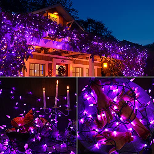 Brizled Purple Halloween Outdoor String Lights, 33 ft, 100 C5 LED (Purple)