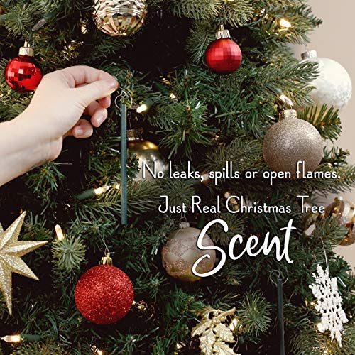 Scentsicles White Winter Fir Christmas Tree Ornaments - Natural Holiday Air Freshener, Set of 6