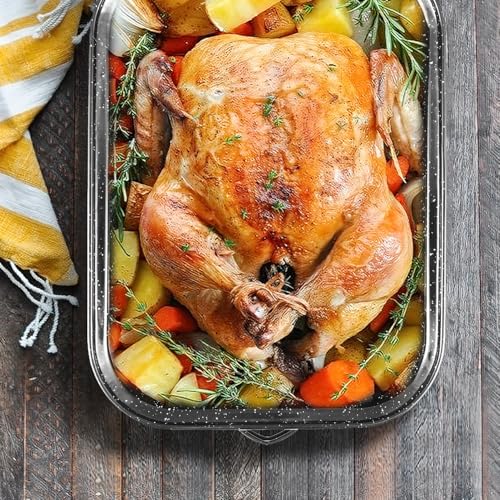 Large 21 Inch Roasting Pan with Lid, V Rack, Turkey Baster & 25lb Capacity