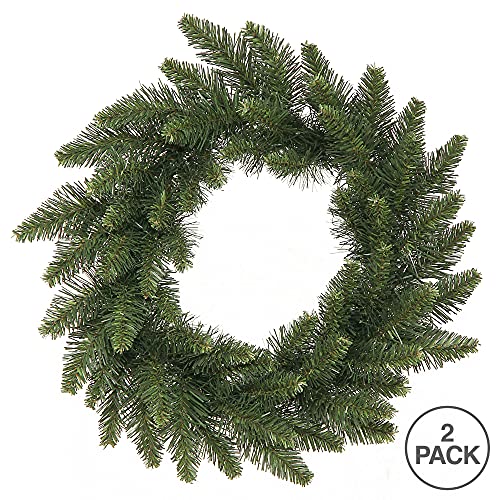 Vickerman Camdon Fir 16" Unlit Artificial Christmas Wreaths Pack of 2 - Green
