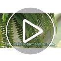 Waipfaru 2PCS 45in UV-Resistant Faux Ferns Outdoor Artificial Plants for Porch & Patio