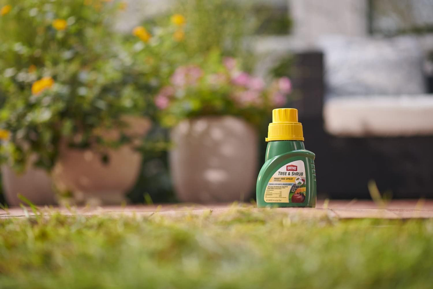 Ortho Fruit Tree Spray - 16-Ounce Formula for Healthy Trees & Shrubs | Pest Control Solution