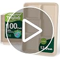 Tinybee 5-Compartment Compostable Plates - Natural, 12.5 x 8.6 Inches, 100 Pack