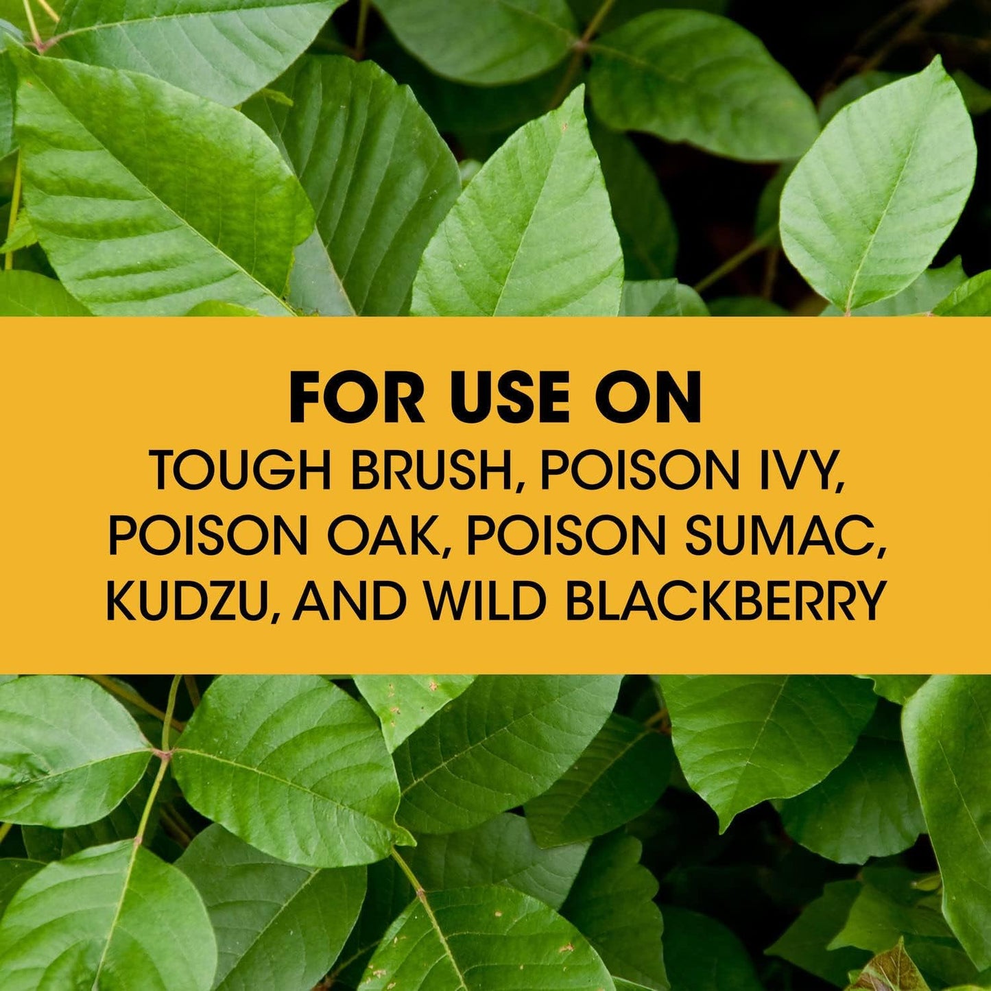 Roundup Concentrate Poison Ivy Killer - Fast-Acting Weed & Brush Control, 32 oz.