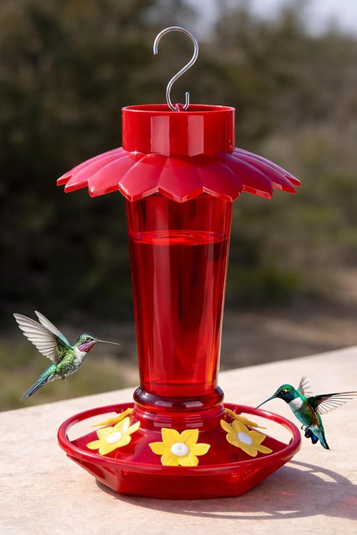 Fchstaer Hummingbird Feeder - 10 OZ Red Outdoor Feeder with 6 Ports & Ant Moat | Perfect Garden Gift
