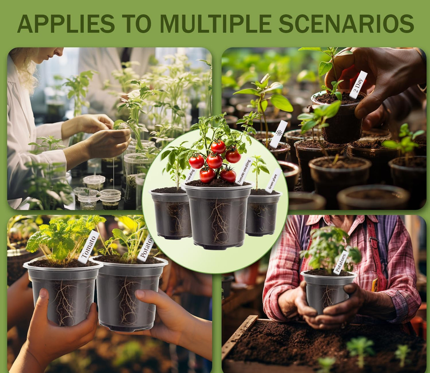 Skiennix Clear Nursery Pots - 30 Pack Plastic Seedling Pots with Drainage Holes | 3.5/4/5 Inch