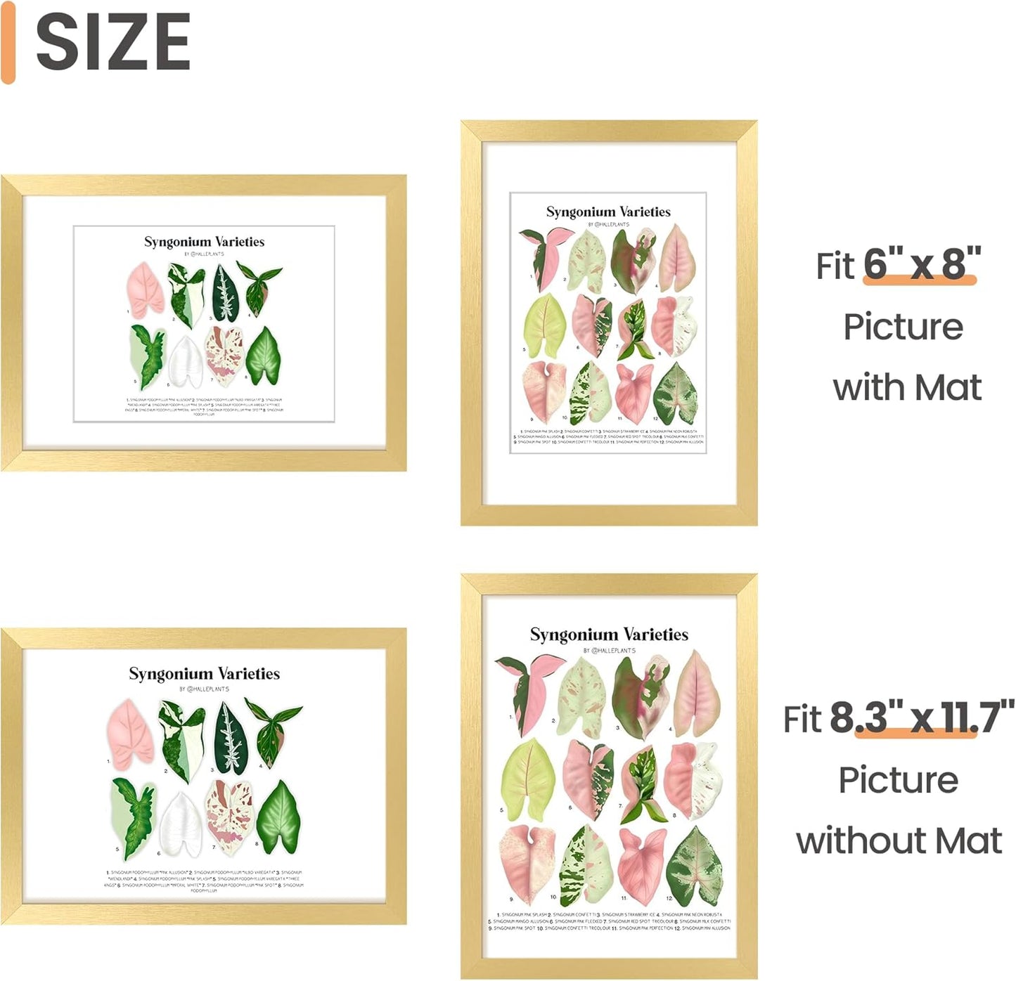 Upsimples A4 Picture Frame - Elegant Gold Wall Hanging Frame for 6x8 Photos or 8.3x11.7 Without Mat, 1 Pack