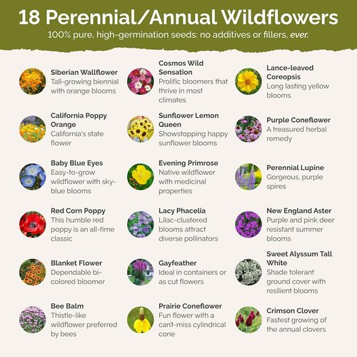 Eden Brothers Wildflower Mixed Seeds - Attract Pollinators | 1/4 lb, 120,000+ Seeds, Plant in Spring or Fall