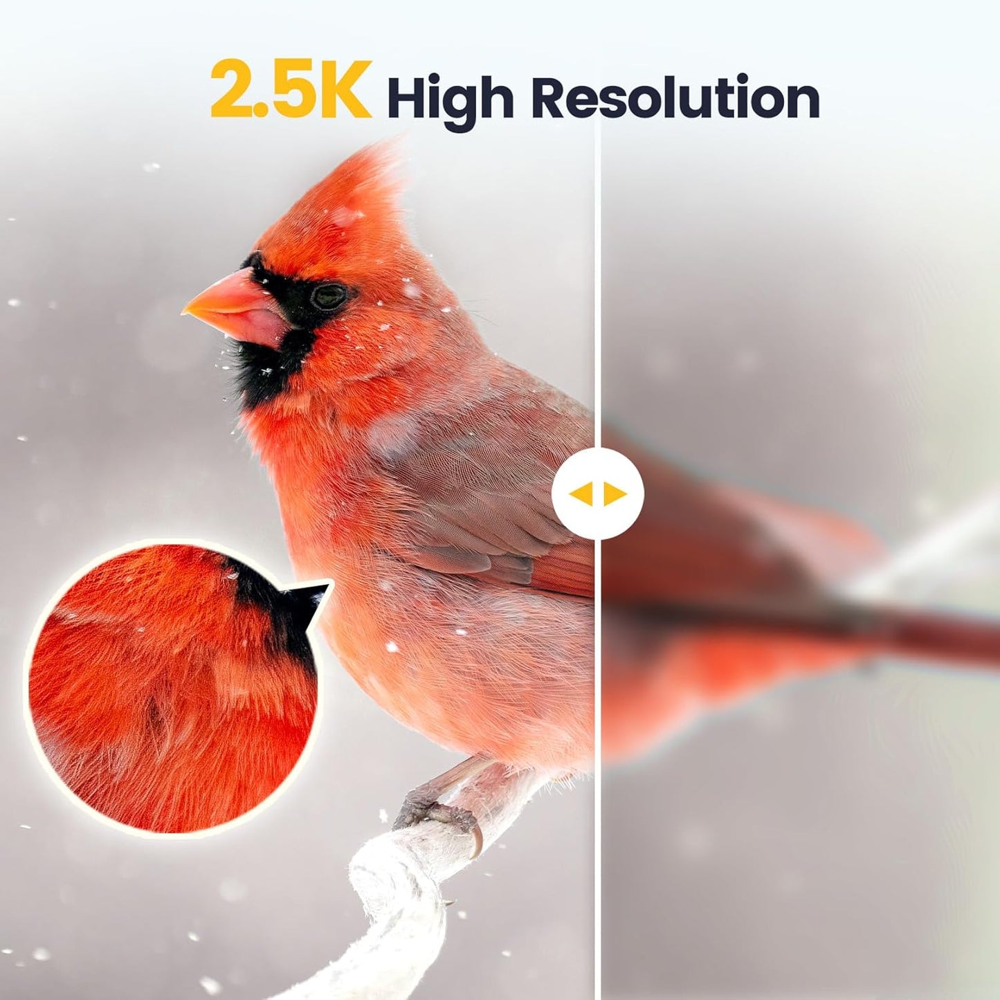 Skiennix Smart Bird Feeder - 2K HD Camera with AI Bird Identification & Solar Power | Bamboo Design