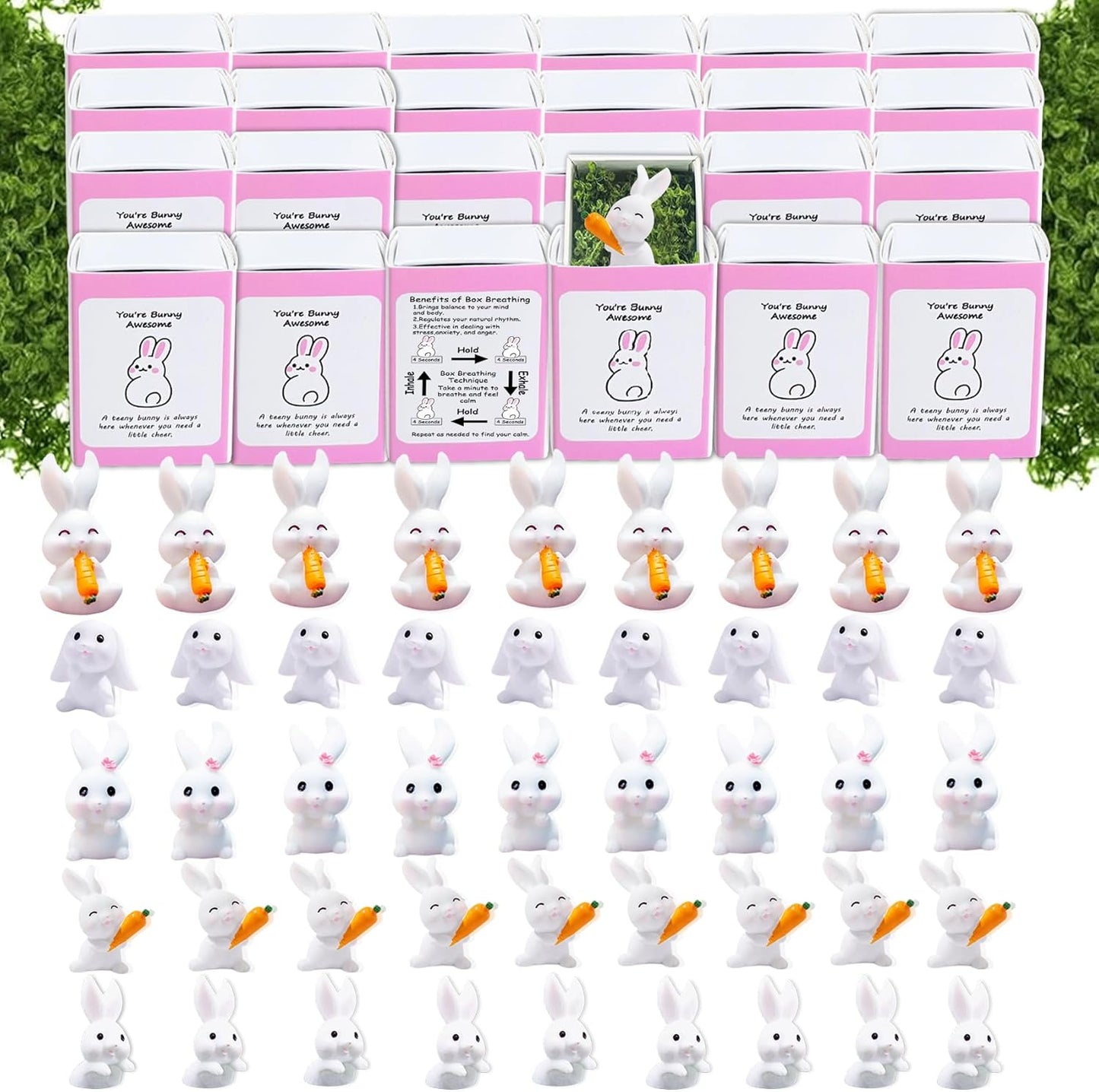 Regine Switzerland Positive Rabbit Gifts - 50 Set Bulk Employee Appreciation Box with Cheer-Up Cards