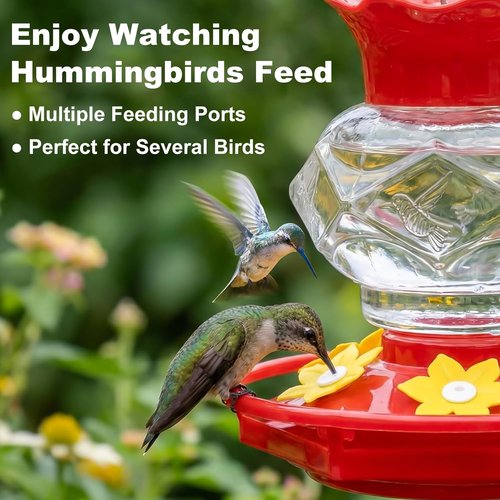 Fchstaer Hummingbird Feeder - 18oz Outdoor Hanging Design with 6 Feeding Ports & Ant Moat | Perfect Garden Decor Gift
